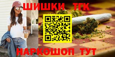 МДПВ Славгород