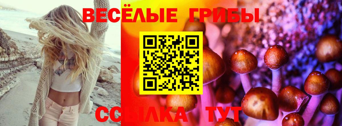 Галлюциногенные грибы мухоморы Нижний Новгород